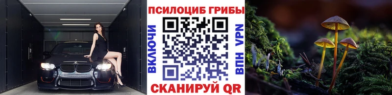 Псилоцибиновые грибы Cubensis  Купить закладки  Саки 